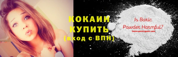 дживик Майский