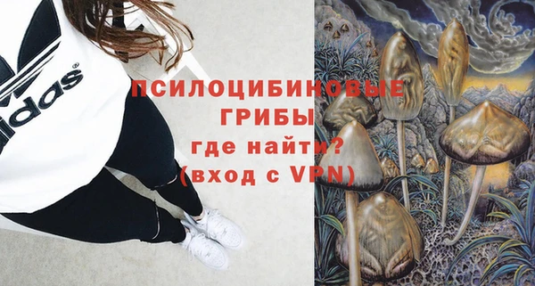 дживик Майский