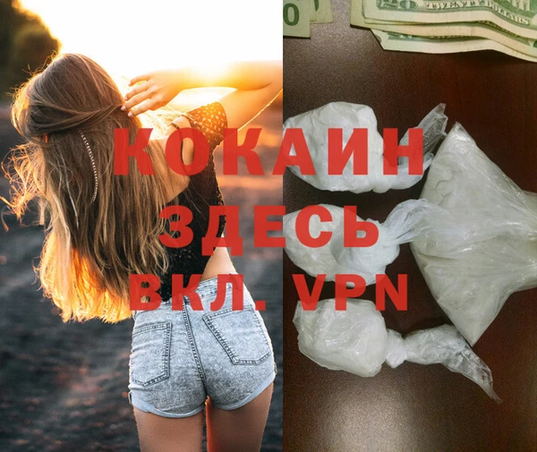 дживик Майский