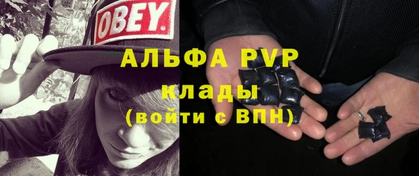 дживик Майский