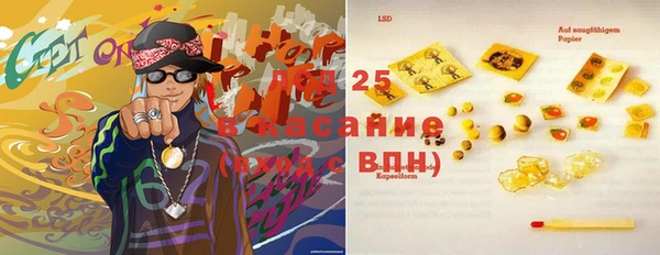 дживик Майский