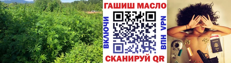 Дистиллят ТГК THC oil  гидра tor  Саратов 