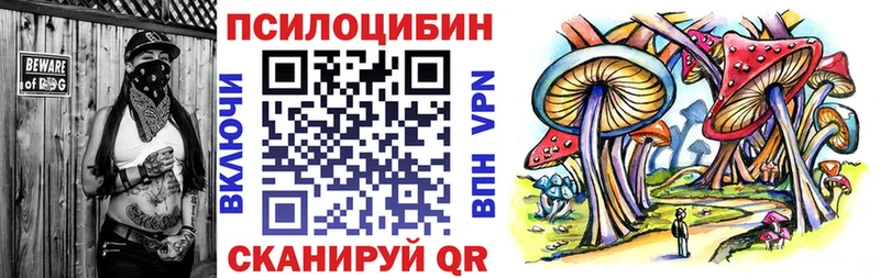 Псилоцибиновые грибы MAGIC MUSHROOMS  цены наркотик  Саратов 